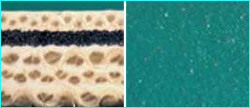 CONTI-AIR® NITROGEN